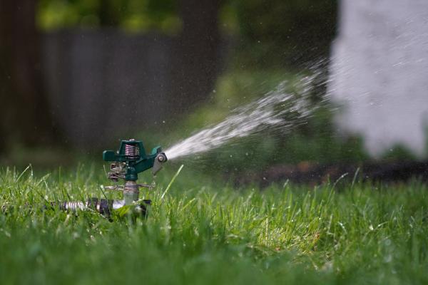 Image for event: Lawn Care Myths Debunked!