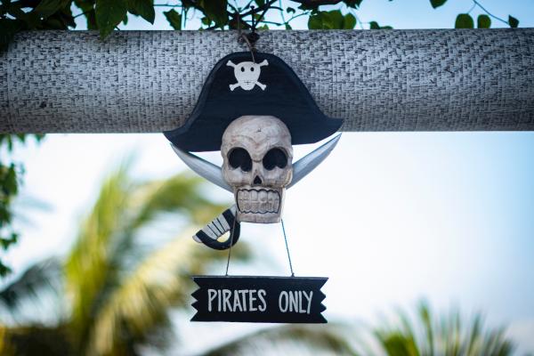 Image for event: Pirate LARP (Live Action Role Play) for Tweens Grades: 3-6