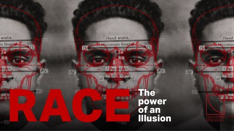 Image for event: Race: The Power of an Illusion - Discussion